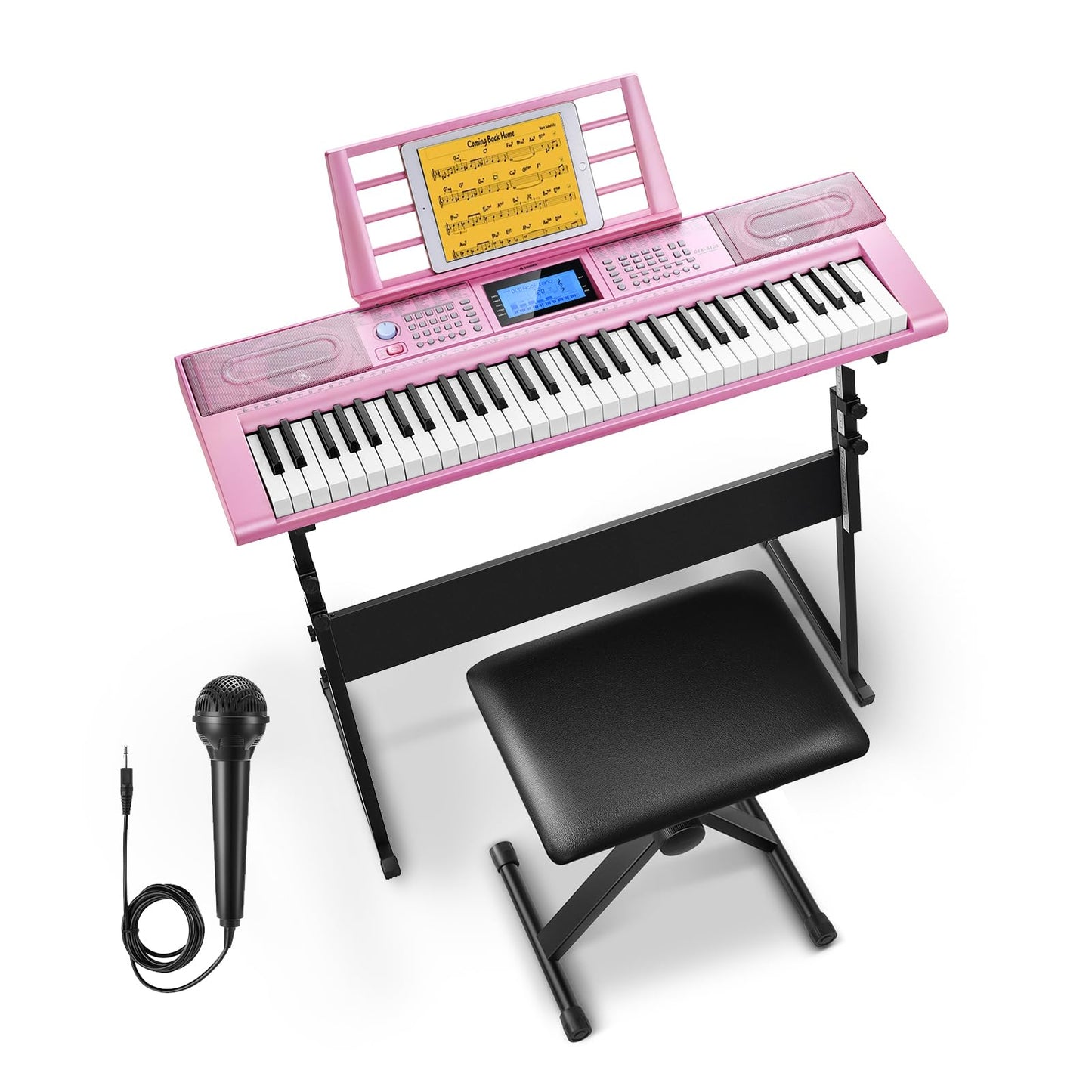 Donner Keyboard Piano, 61 Key Piano Keyboard for Beginner/Professional, Electric Keyboard Kit with 249 Voices, 249 Rhythms - Includes Music Stand, Microphone, Black (DEK-610S)