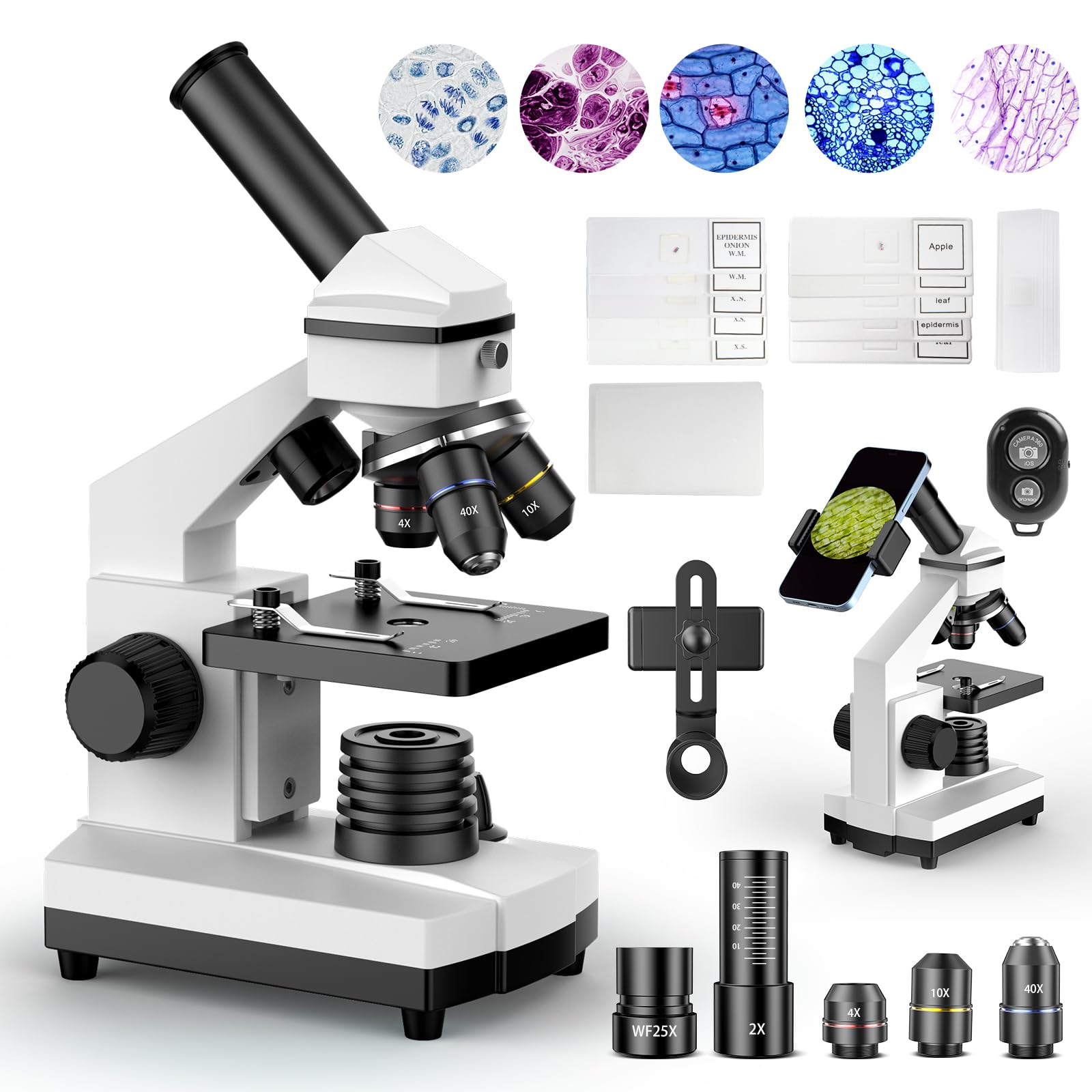 PalliPartners Compound Microscope for Adults &amp; Kids - 100X-2000X High-Power Biological Microscope for Students, School Lab &amp; Home Education, with Slides Set &amp; Phone Adapter (White)