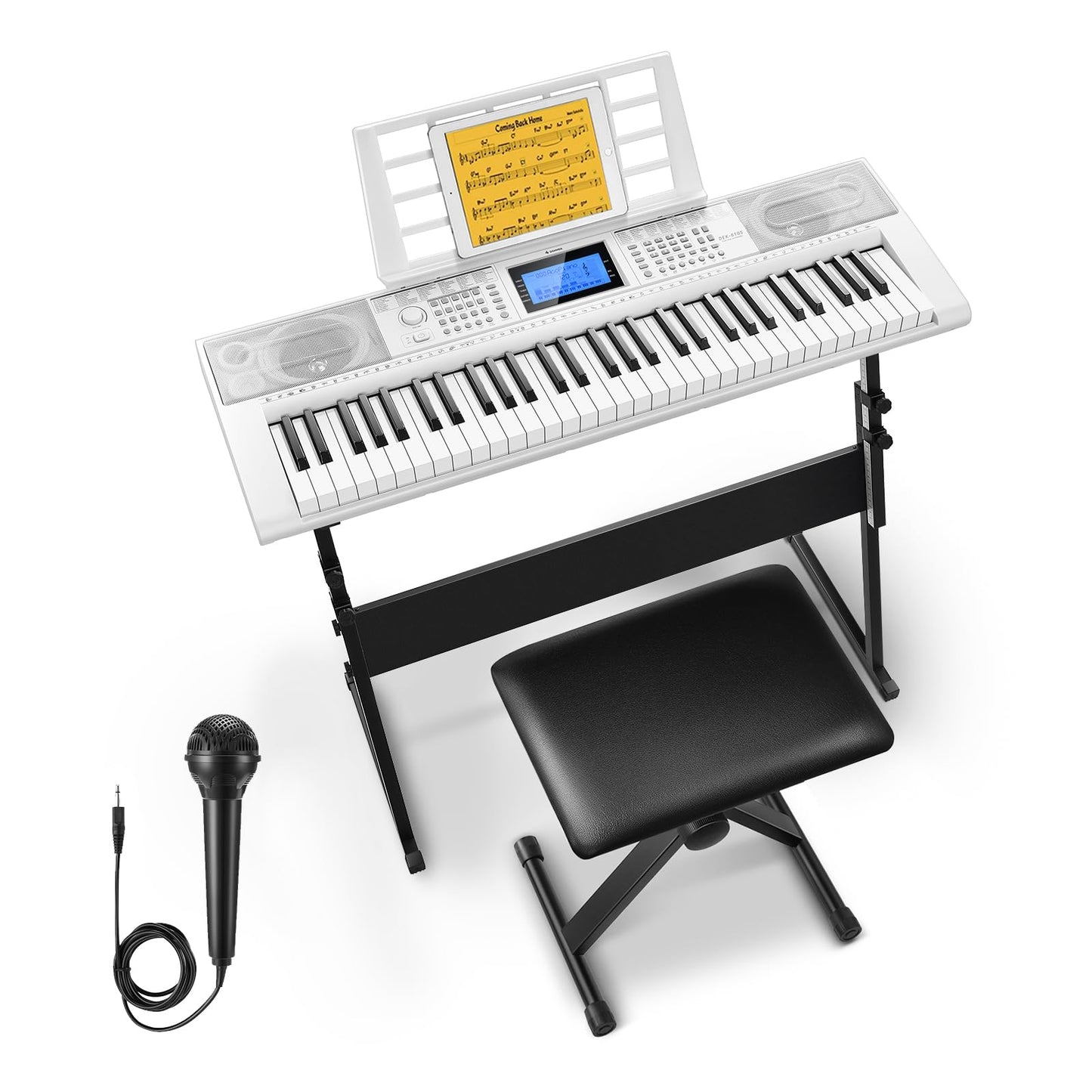 Donner Keyboard Piano, 61 Key Piano Keyboard for Beginner/Professional, Electric Keyboard Kit with 249 Voices, 249 Rhythms - Includes Music Stand, Microphone, Black (DEK-610S)