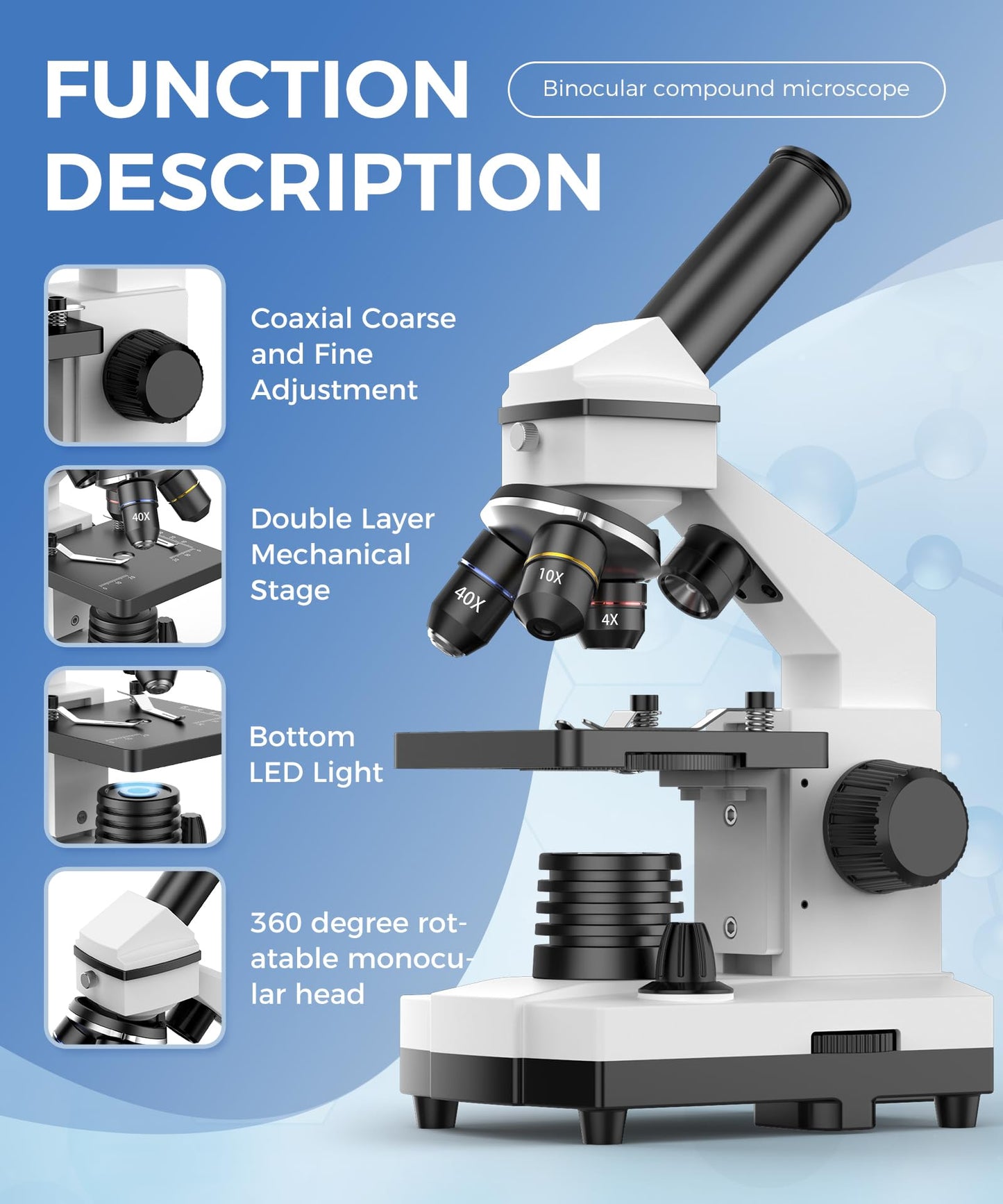 PalliPartners Compound Microscope for Adults &amp; Kids - 100X-2000X High-Power Biological Microscope for Students, School Lab &amp; Home Education, with Slides Set &amp; Phone Adapter (White)