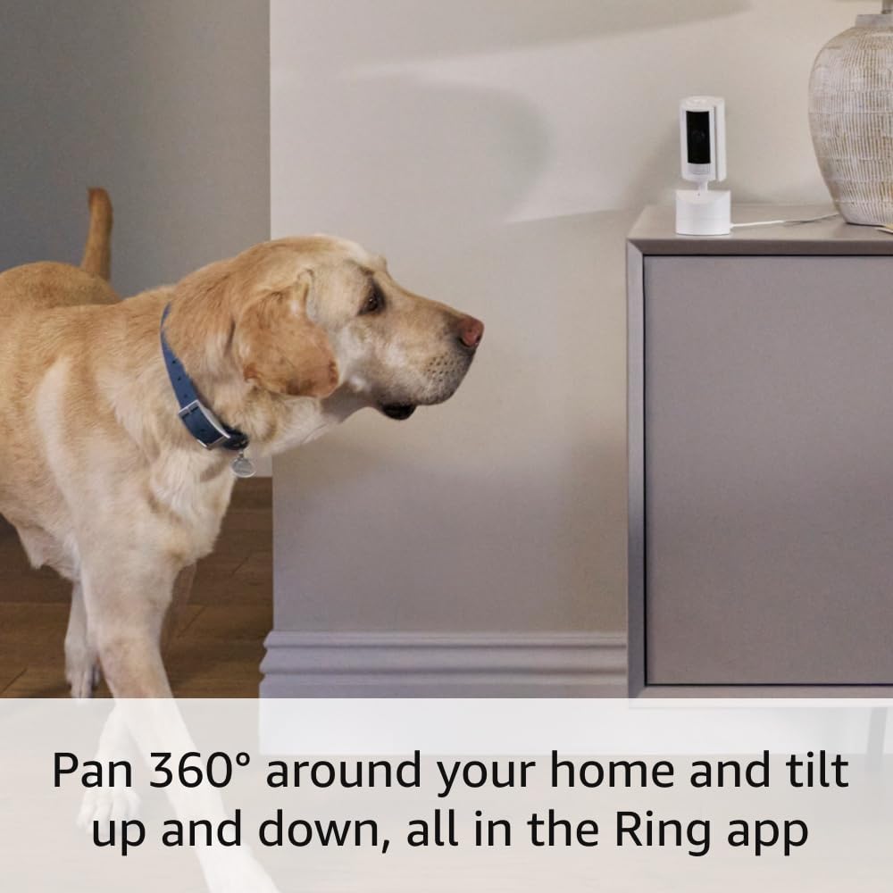 Ring Pan-Tilt Indoor Cam | See all around with 360° pan coverage, HD video, plus Two-Way Talk (2024 release) | White